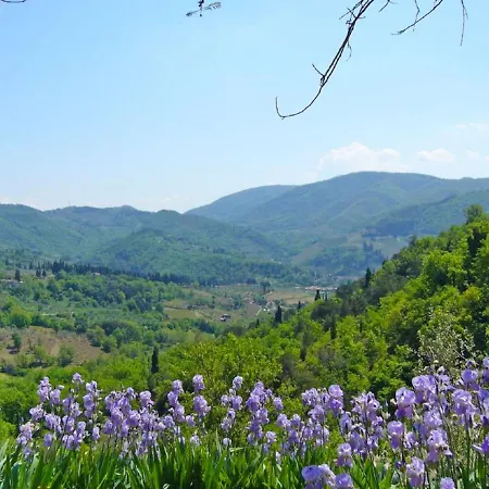 Appartement Locazione Turistica Giuggiolo *