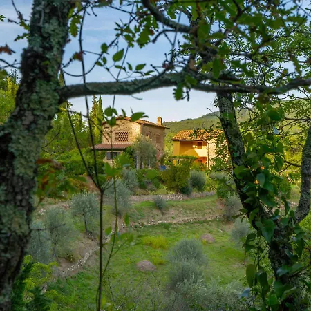 Locazione Turistica Giuggiolo Appartement *